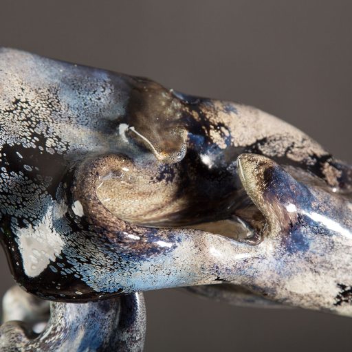 Skeletal Series Sabre - Toothed Tiger Details